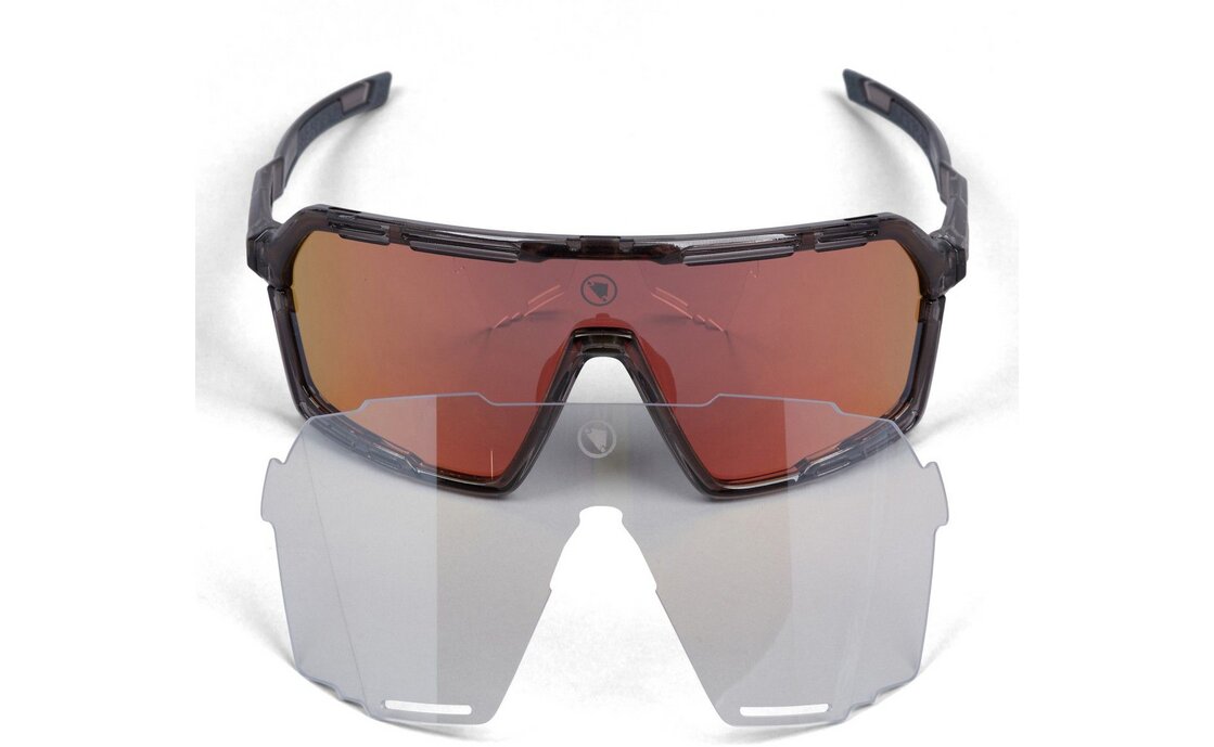 Endura Pro SL Brillenset - Grau