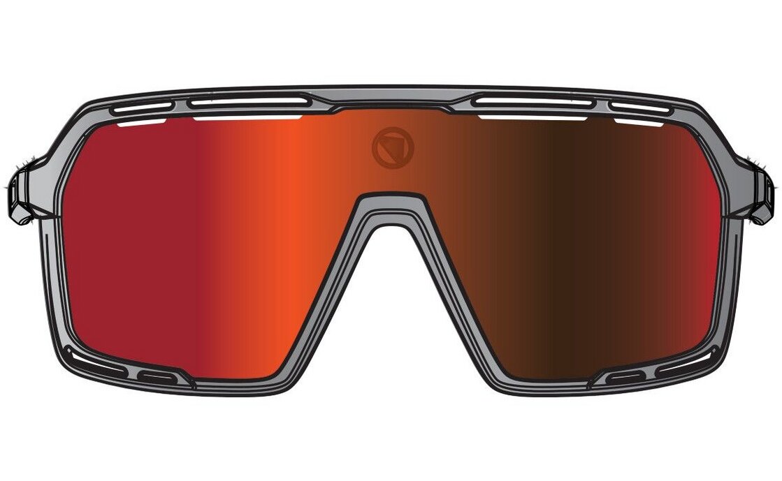 Endura Pro SL Brillenset - Grau