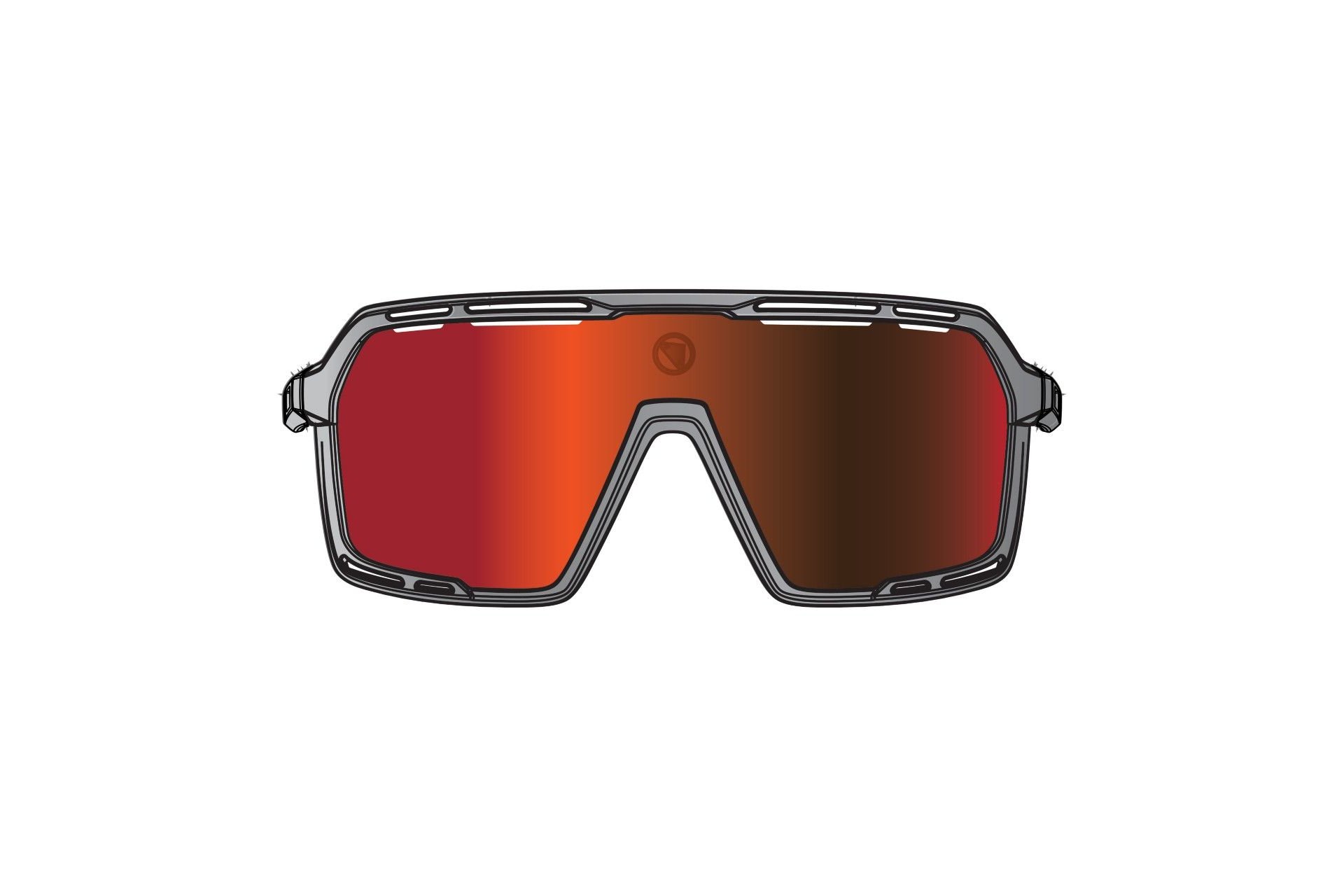 Endura Pro SL Brillenset - Grau