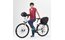 Vaude eSilkroad Plus - Gepäckträgertasche