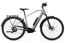 Advanced Trekking Plus Diamant - Deore - 725 Wh - 29 Zoll - Diamant