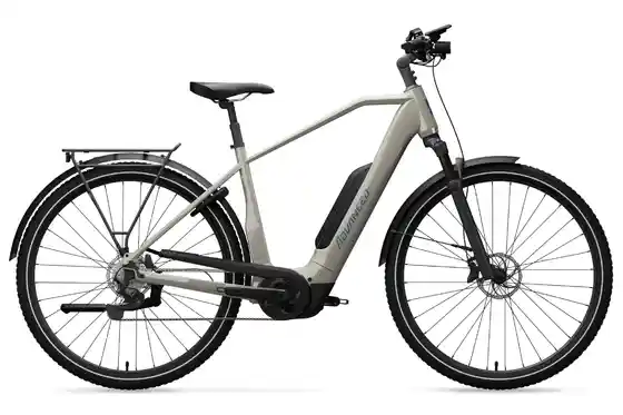 E-Bike Trekking - Advanced Trekking Plus Diamant - Deore - 725 Wh - 29 Zoll - Diamant