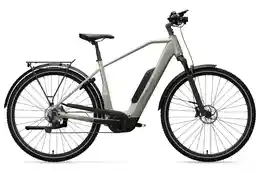 Advanced Urban - Advanced Trekking Plus Diamant - Deore - 725 Wh - 29 Zoll - Diamant