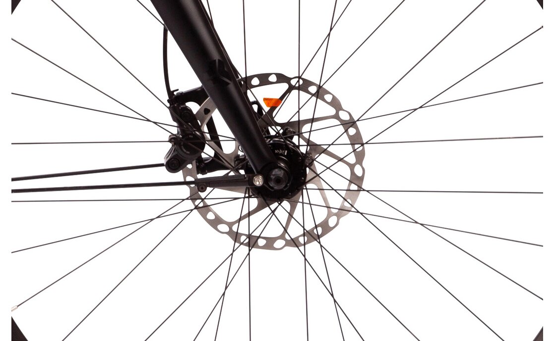 Carver Lyfe 150 R11 - 28 Zoll - Trapez