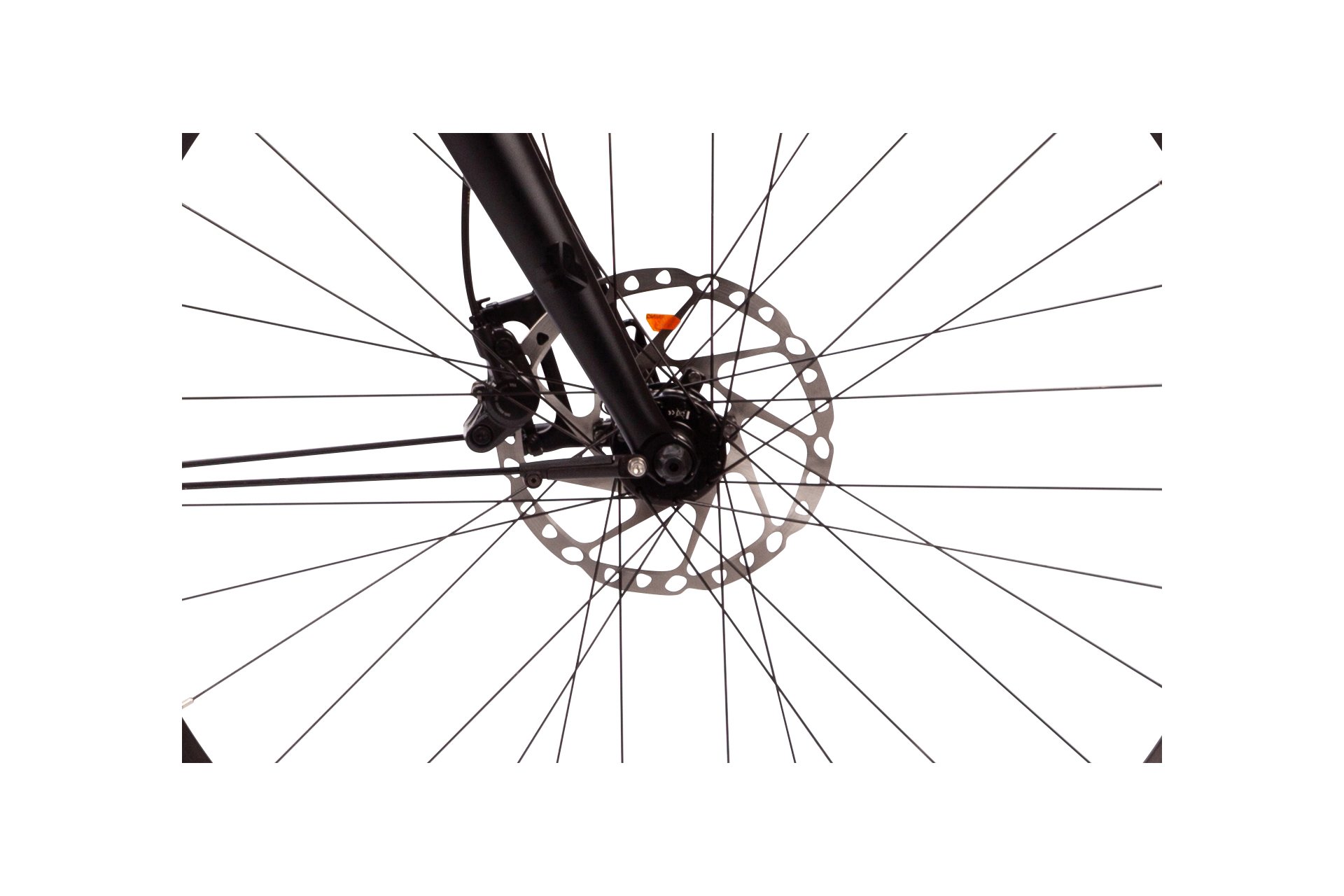 Carver Lyfe 150 R11 - 28 Zoll - Trapez