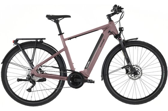 E-Trekkingbikes - Carver Route E.510 - B-Ware - 500 Wh - 28 Zoll - Diamant