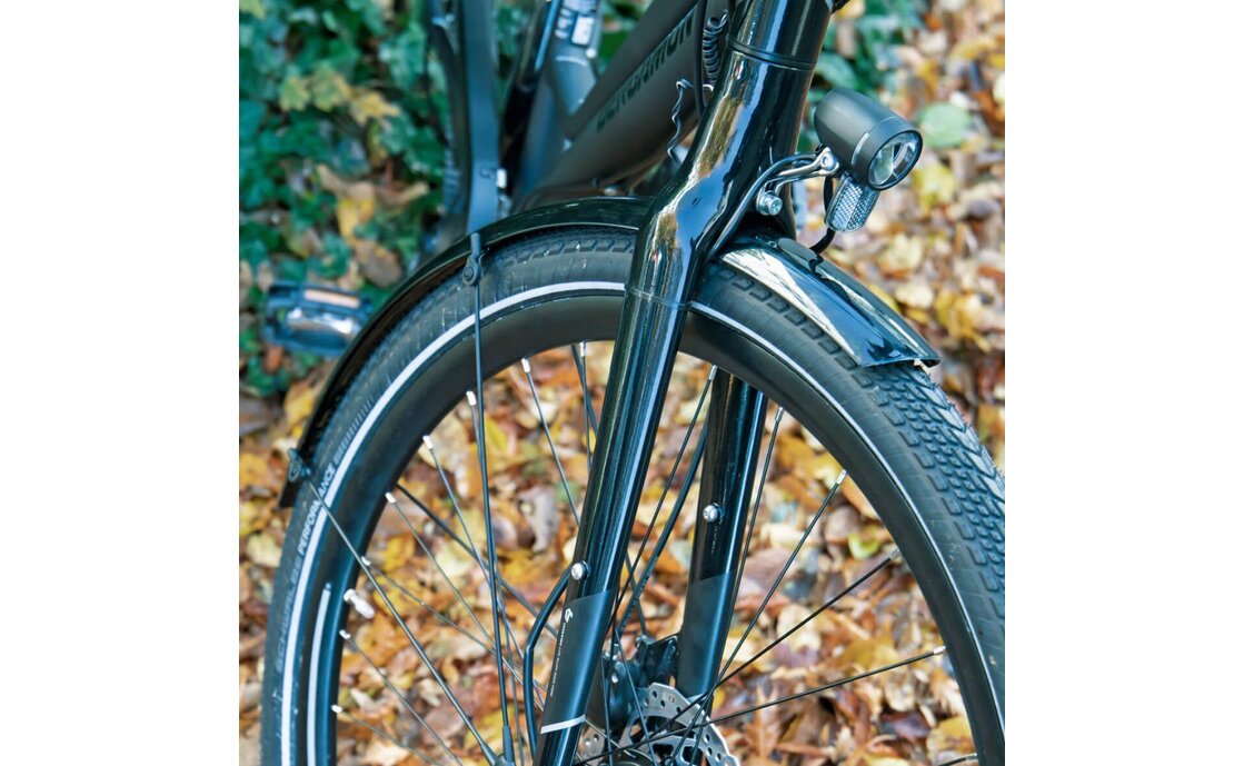 SKS Bluemels Basic Schutzblech Set 26 Zoll schwarz