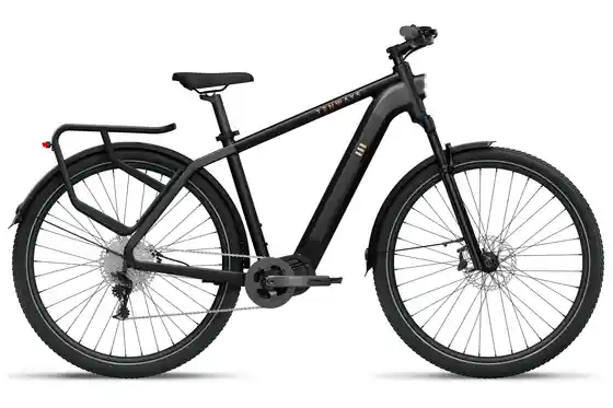 E-Bike Trekking - Tenways AGO-X - 504 Wh - 29 Zoll - Diamant