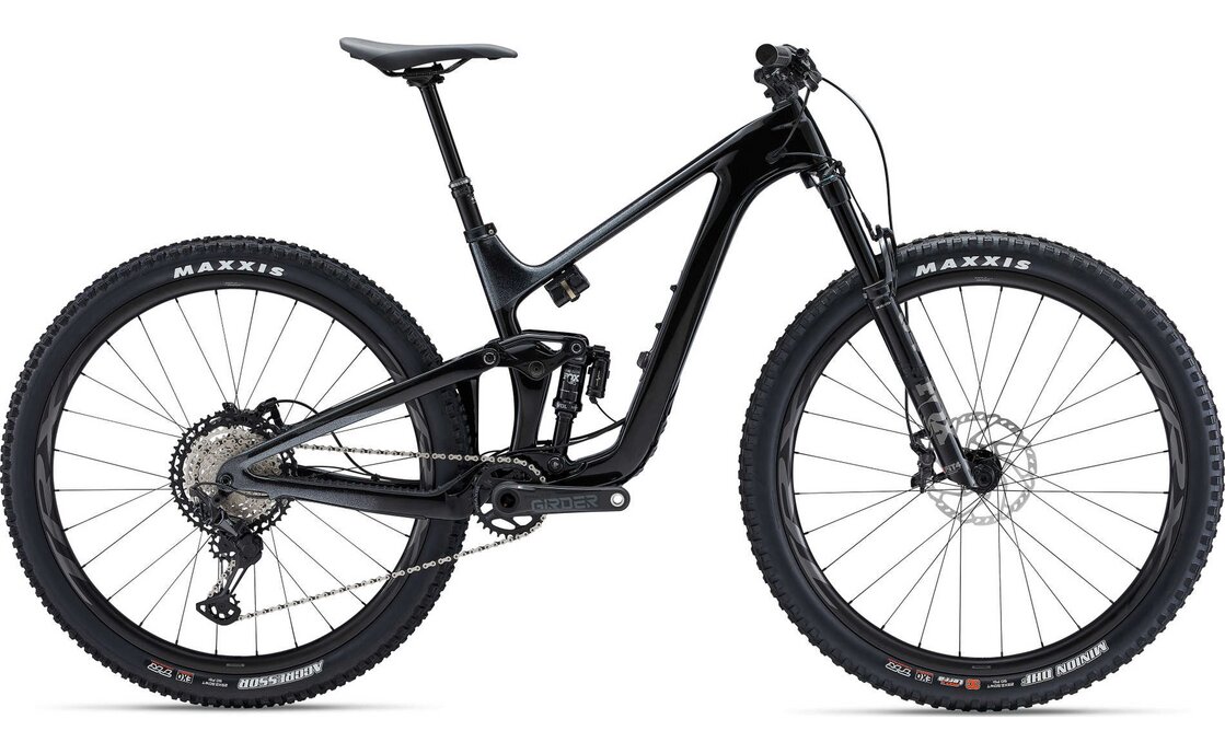 Giant Trance Advanced Pro 1 - 29 Zoll - Fully - Aktion