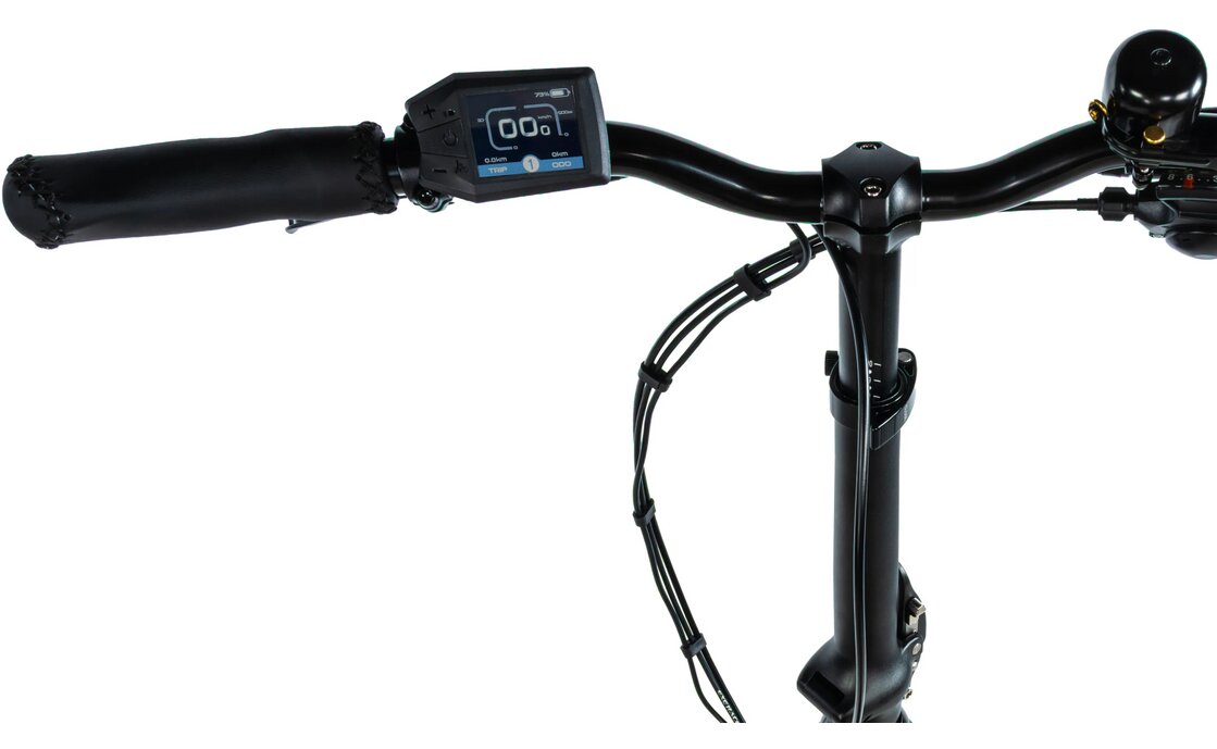 Leaderfox Tifton - 576 Wh - 20 Zoll - Faltrahmen - 2026