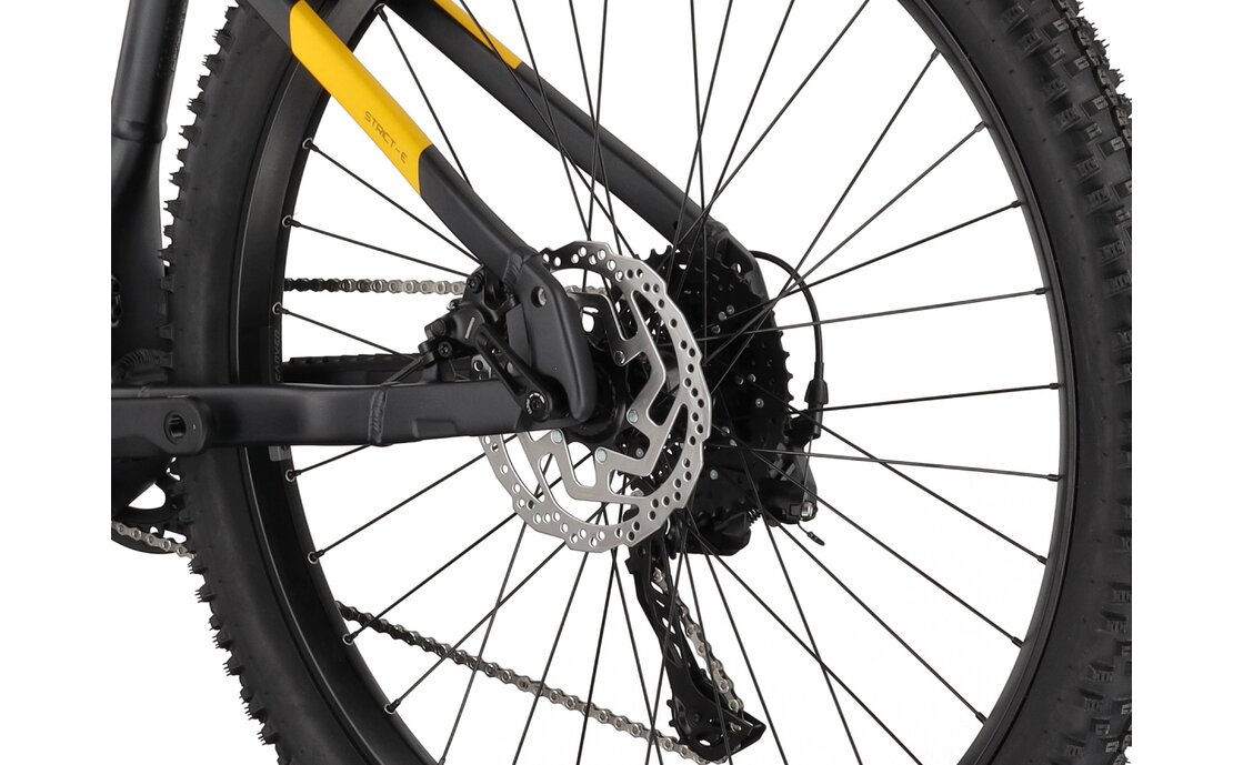 Carver Strict E.510 - B-Ware - 500 Wh - 29 Zoll - Diamant