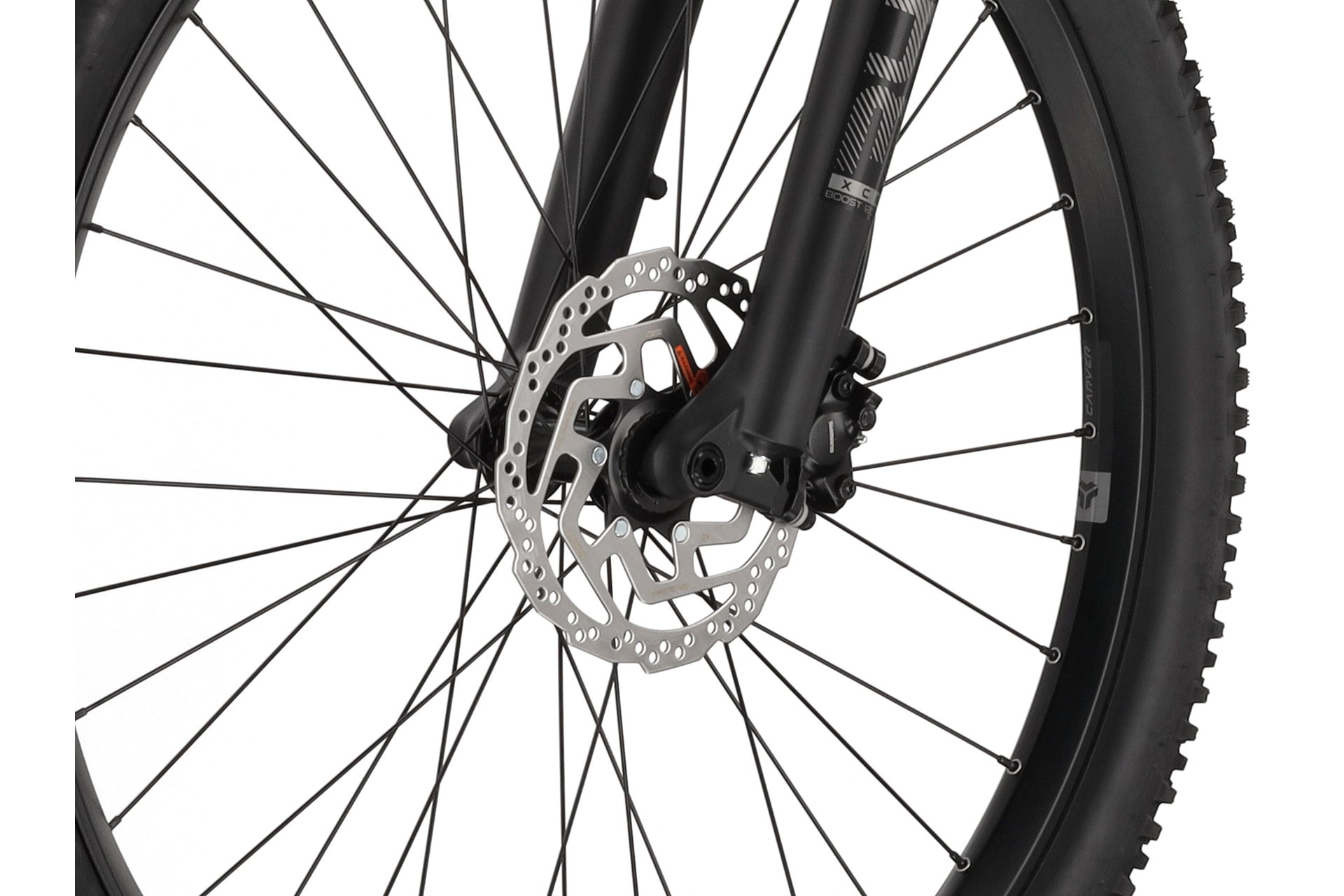 Carver Strict E.510 - B-Ware - 500 Wh - 29 Zoll - Diamant