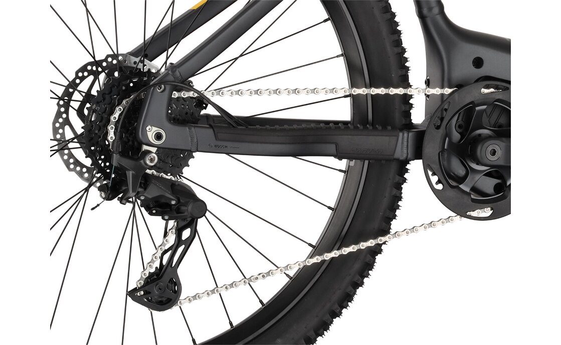 Carver Strict E.510 - B-Ware - 500 Wh - 29 Zoll - Diamant