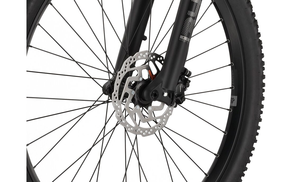 Carver Strict E.510 - B-Ware - 500 Wh - 29 Zoll - Diamant