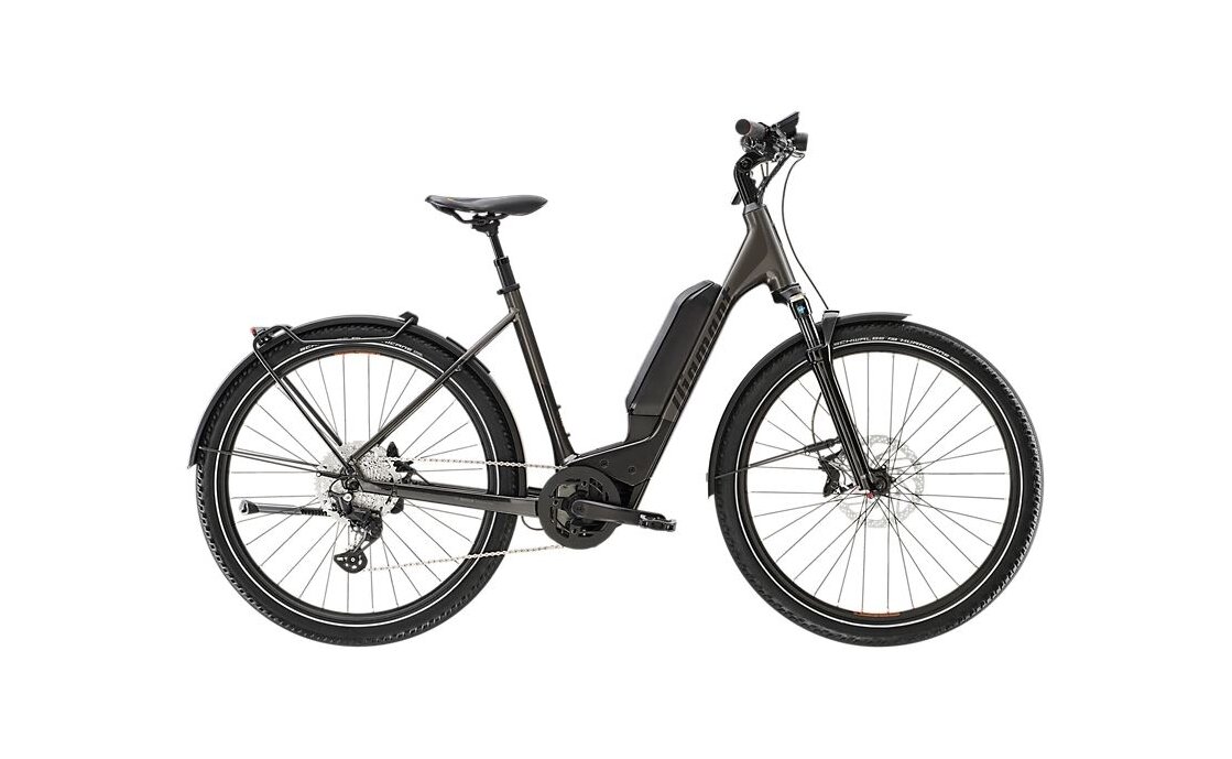 Diamant 138 - 545 Wh - 28 Zoll - Tiefeinsteiger - 2023