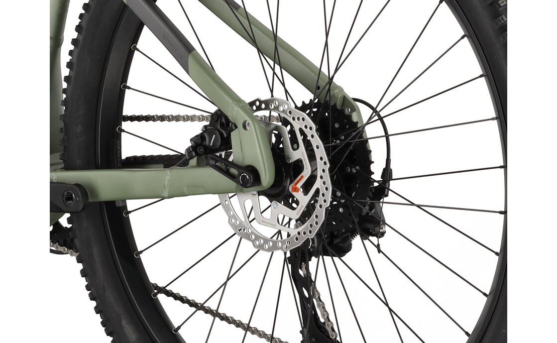 Carver Strict E.510 - B-Ware - 500 Wh - 29 Zoll - Diamant