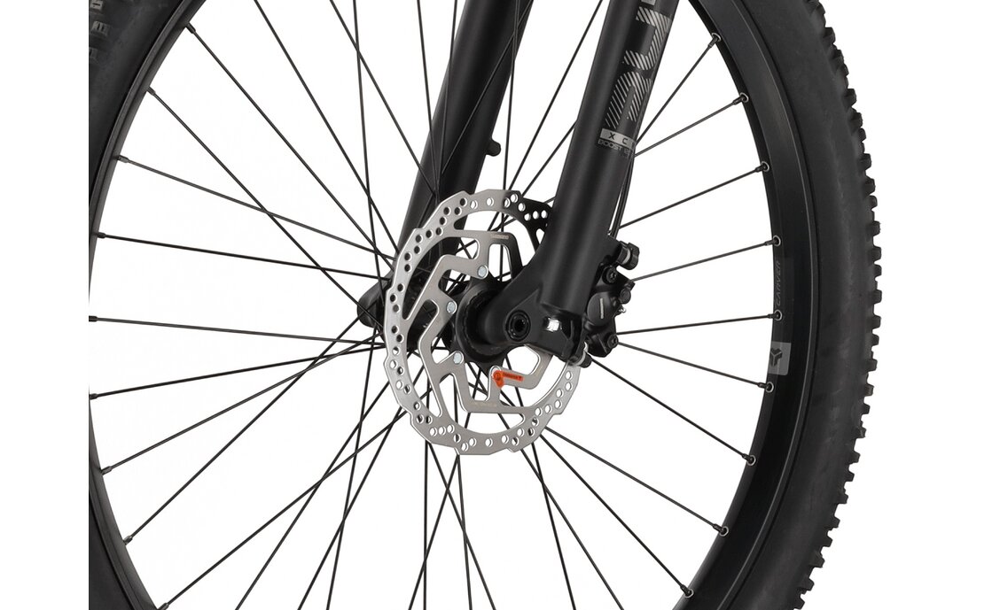 Carver Strict E.510 - B-Ware - 500 Wh - 29 Zoll - Diamant