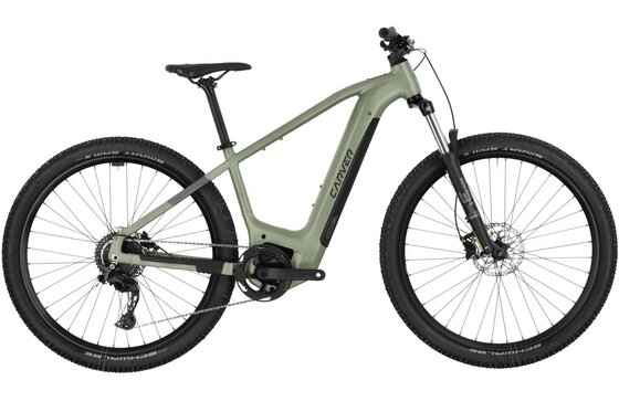 E-Bike Hardtail - Carver Strict E.510 - B-Ware - 500 Wh - 29 Zoll - Diamant