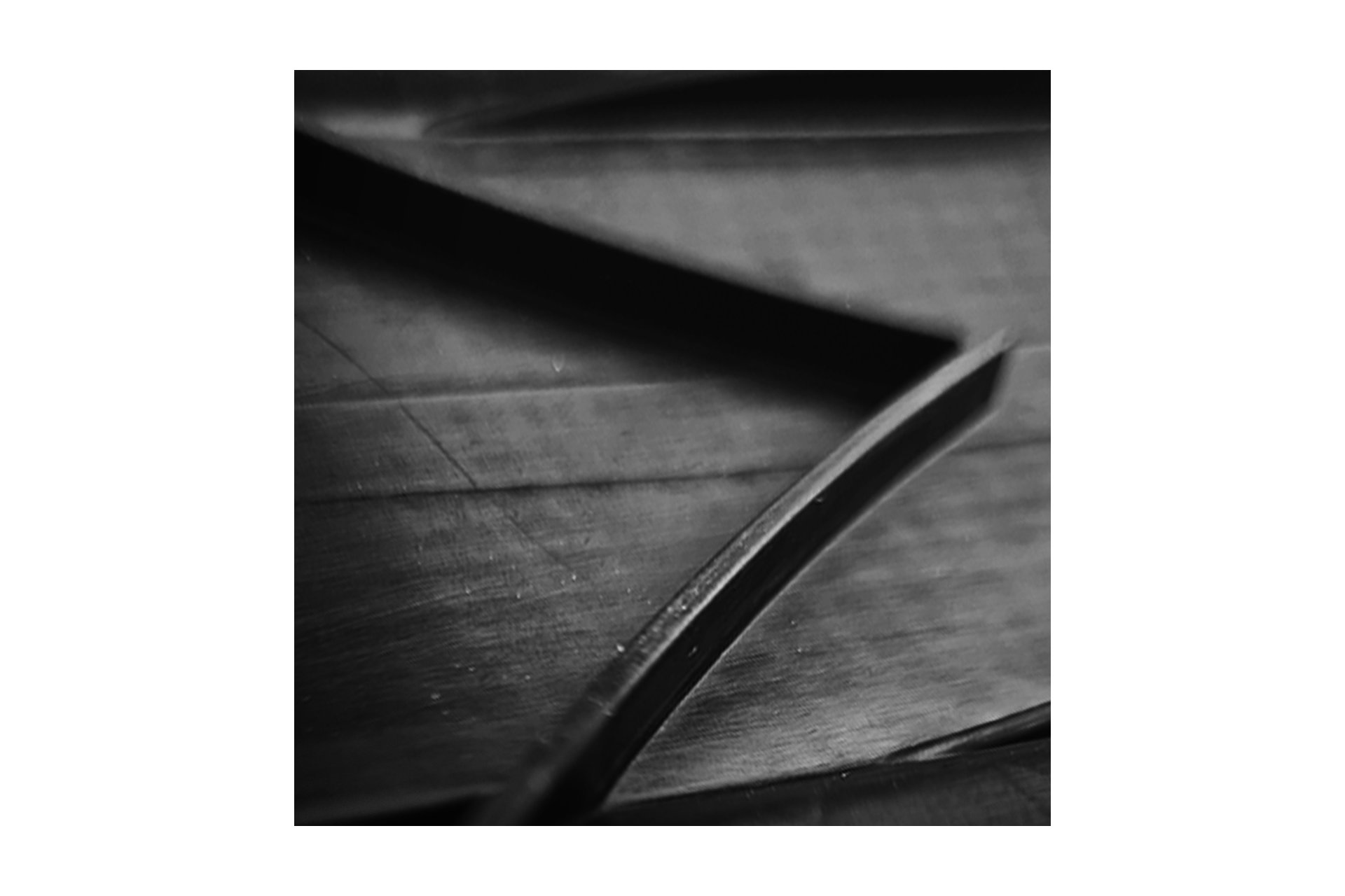 Unleazhed Unsplash M02 Mudguard Basic big - ultimate black