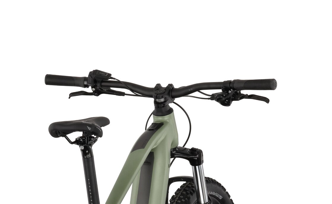 Carver Strict E.510 - B-Ware - 500 Wh - 29 Zoll - Diamant