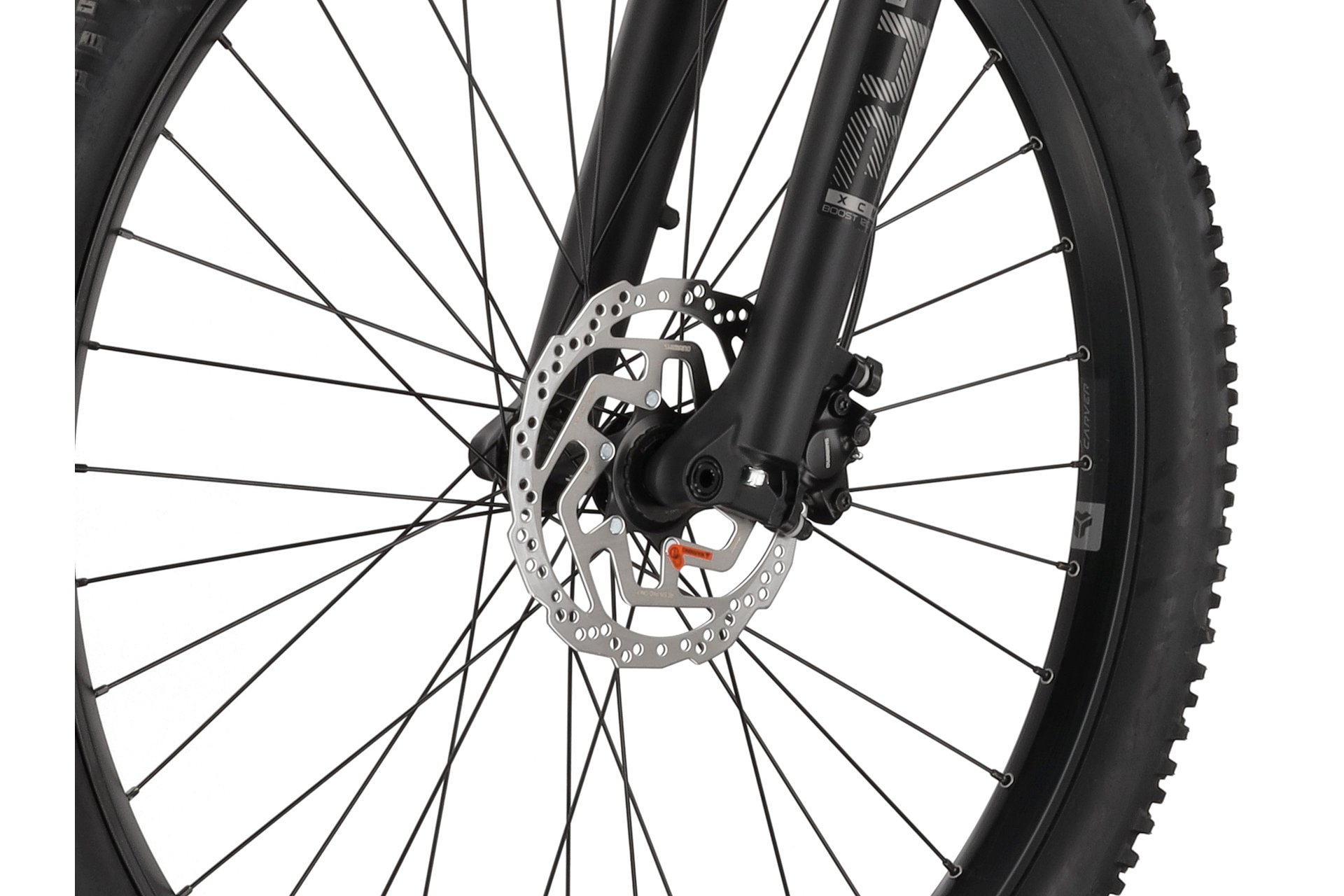 Carver Strict E.510 - B-Ware - 500 Wh - 29 Zoll - Diamant