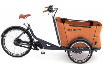 Babboe Slim Mountain - Babboe Curve Mountain - 500 Wh - 2022 - 26 Zoll - Sonstiges