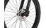 Carver Strict E.510 - B-Ware - 500 Wh - 29 Zoll - Diamant