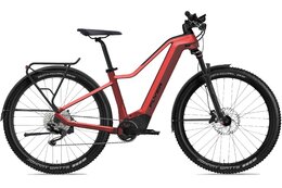 Flyer Goroc2 2.10 - 750 Wh - 29 Zoll - Diamant - Aktion