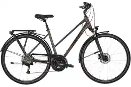 Carver Tour 120 - 28 Zoll - Trapez