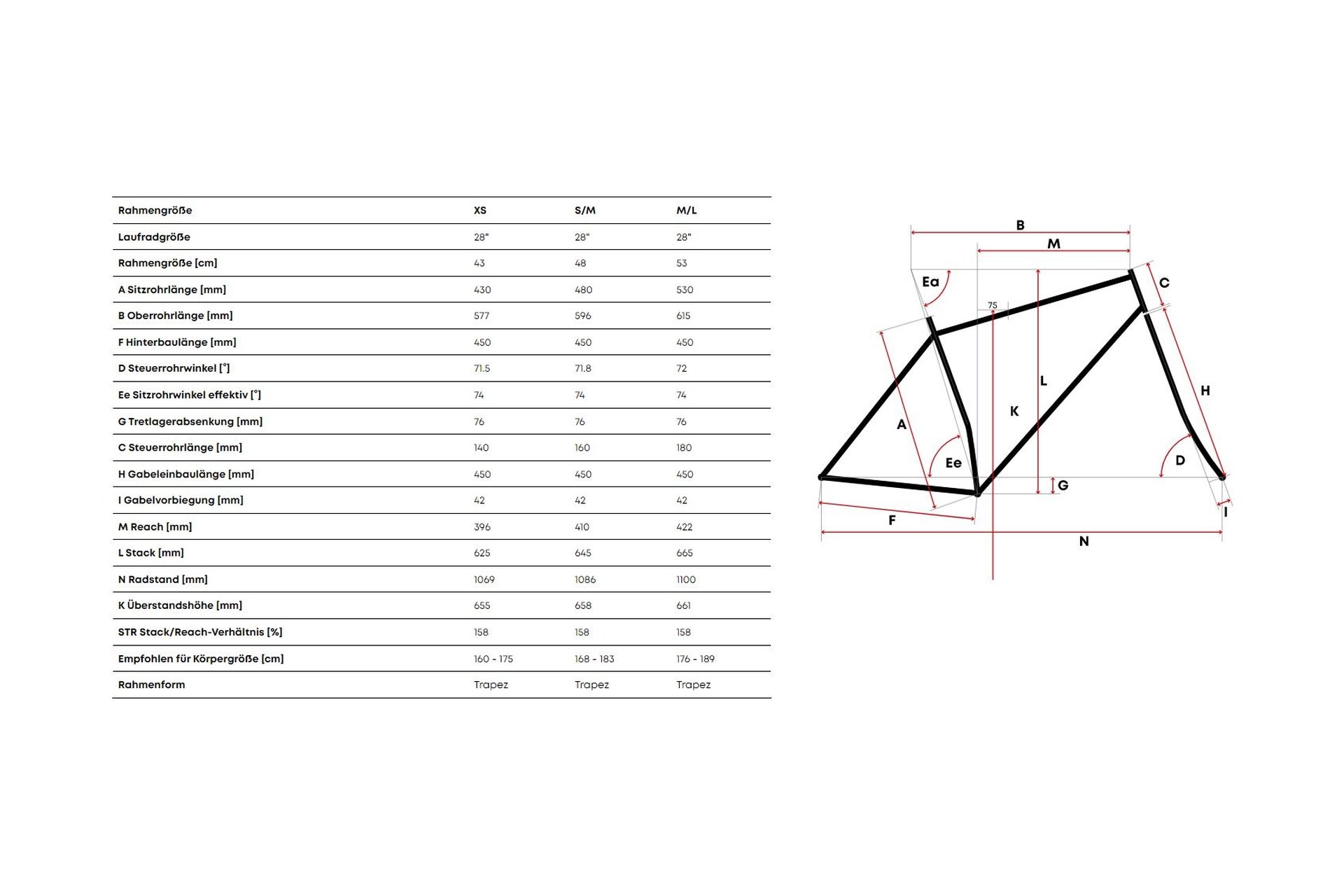 Centurion Accordo 400 EQ Tour - 28 Zoll - Damen Sport - 2023