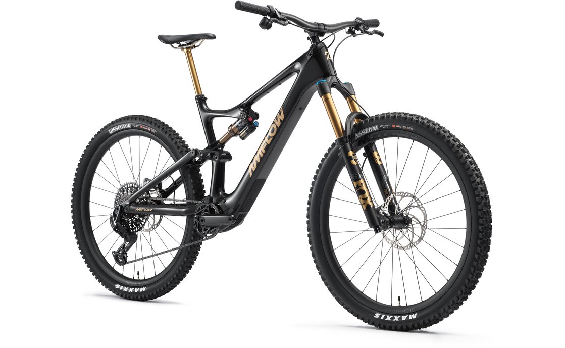 Amflow PL Carbon Pro - 800 Wh - 29 Zoll - Fully