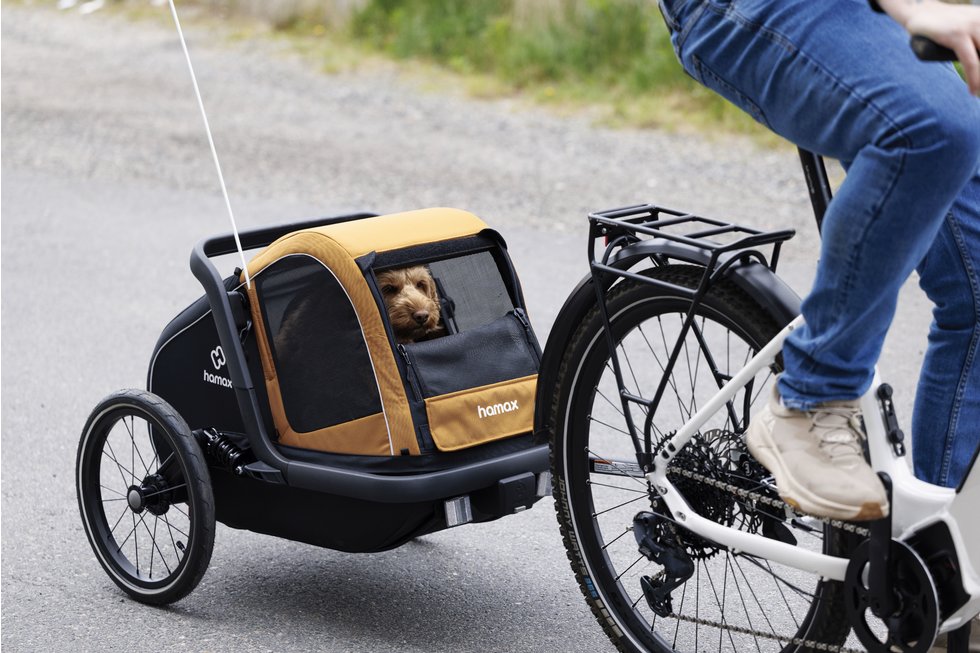 Hundeanhanger Fahrrad Xxl