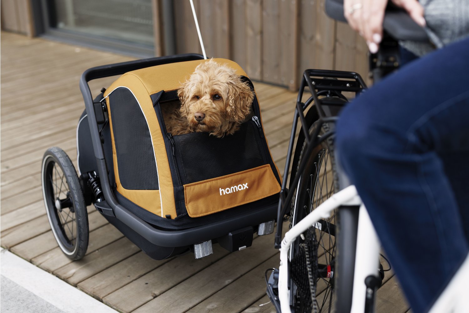 Hundeanhanger Fahrrad Xxl