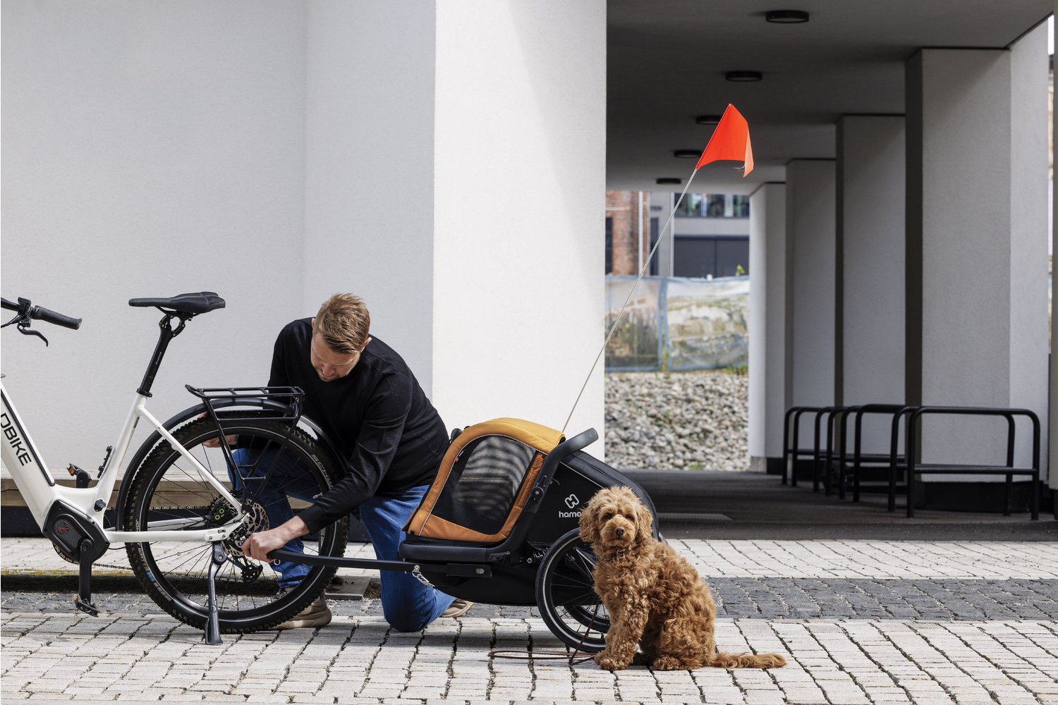 Hundeanhanger Fahrrad Xxl