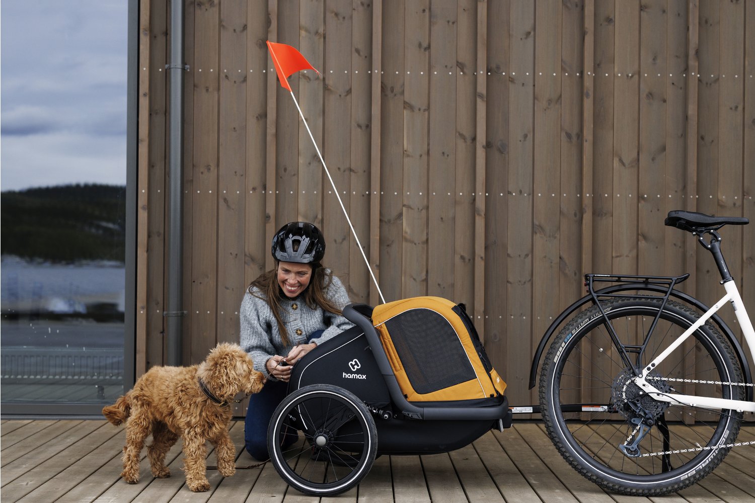 Hundeanhanger Fahrrad Xxl