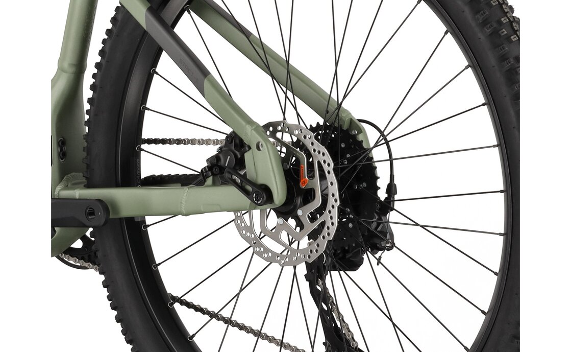 Carver Strict E.520 - B-Ware - 625 Wh - 29 Zoll - Diamant