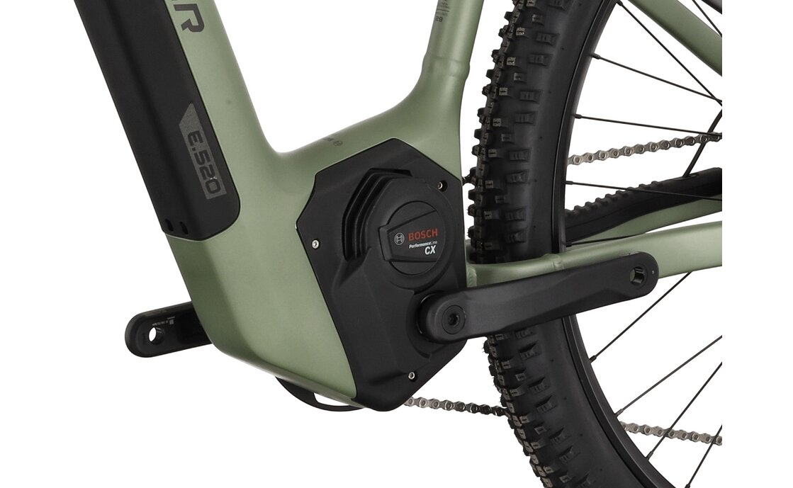 Carver Strict E.520 - B-Ware - 625 Wh - 29 Zoll - Diamant