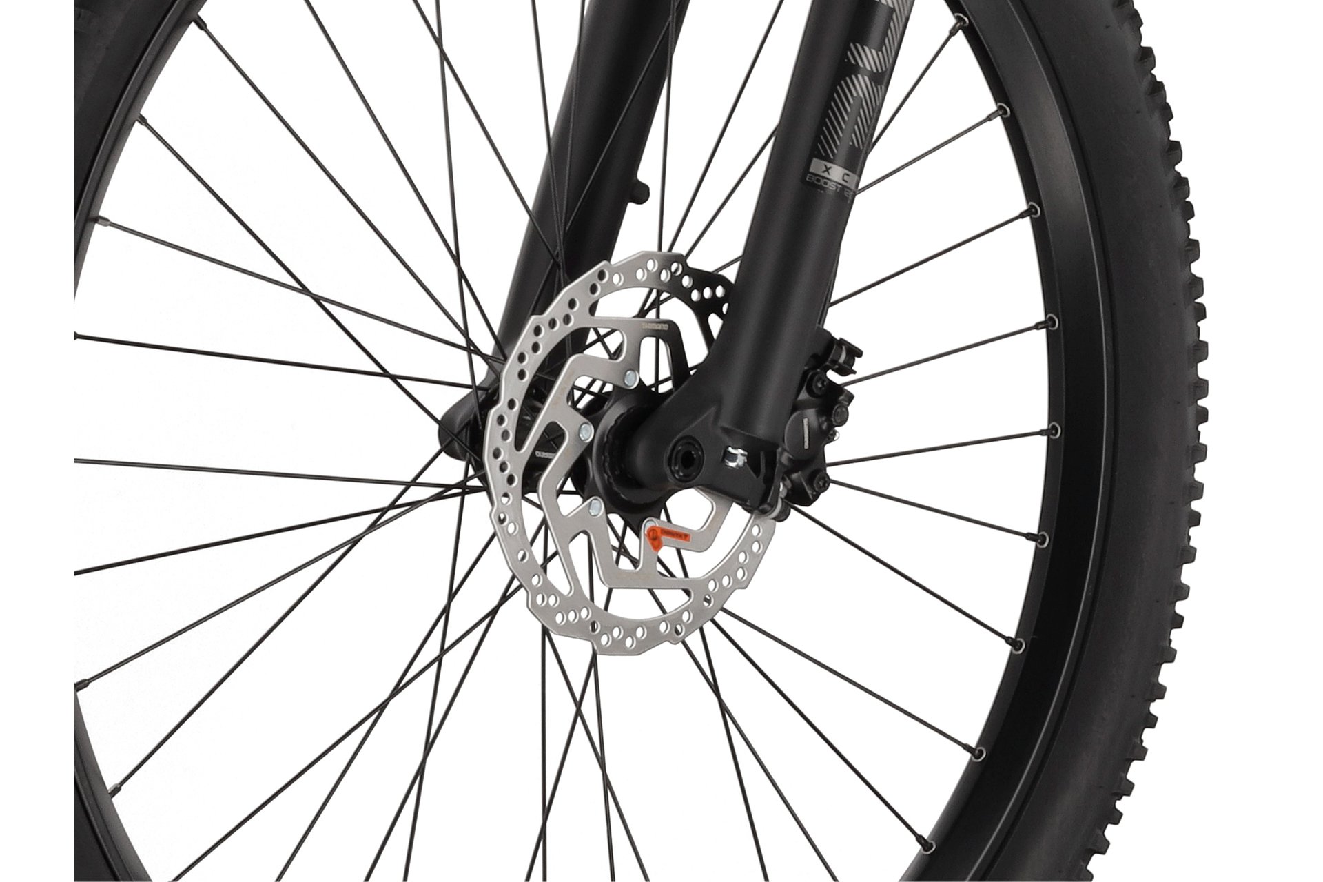 Carver Strict E.520 - B-Ware - 625 Wh - 29 Zoll - Diamant