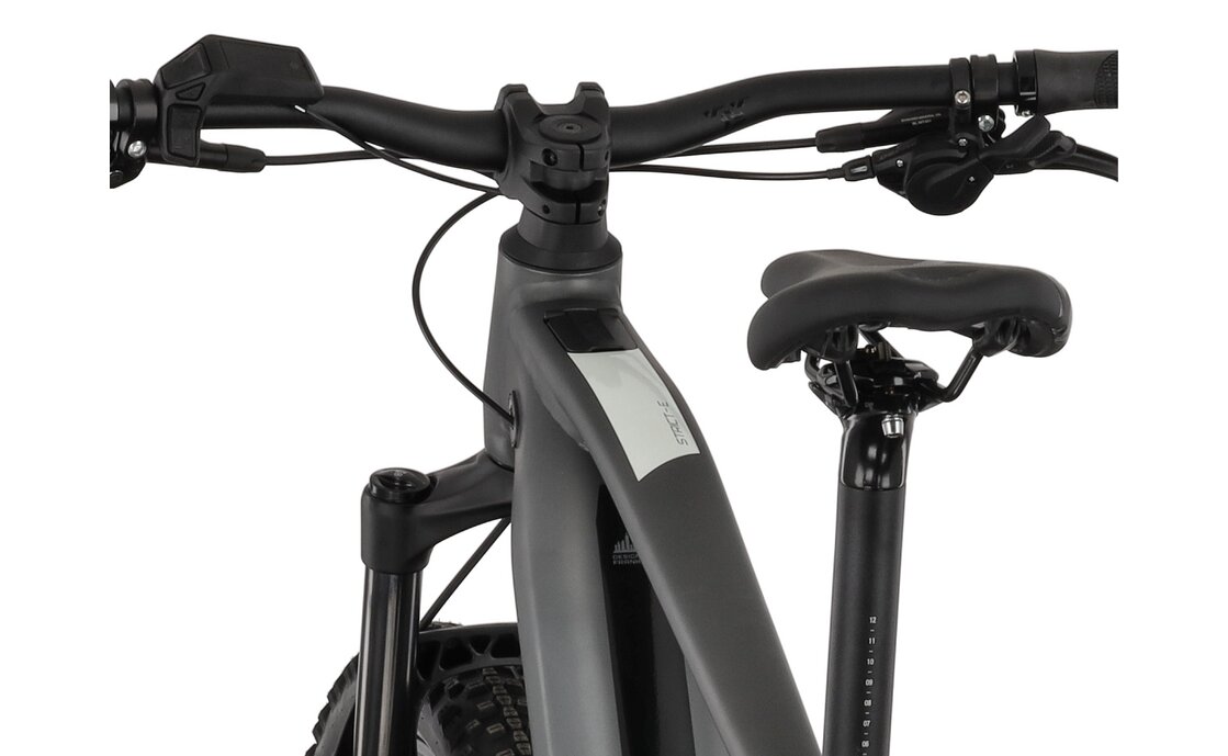 Carver Strict E.540 - B-Ware - 625 Wh - 29 Zoll - Diamant