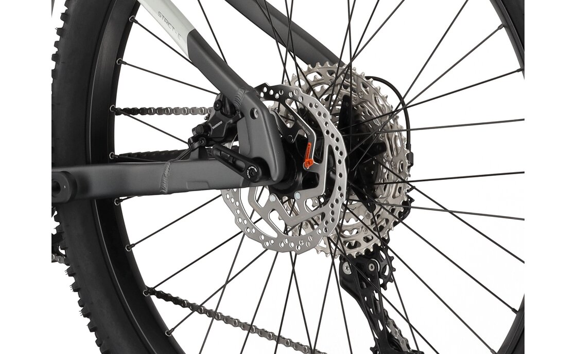 Carver Strict E.540 - B-Ware - 625 Wh - 29 Zoll - Diamant