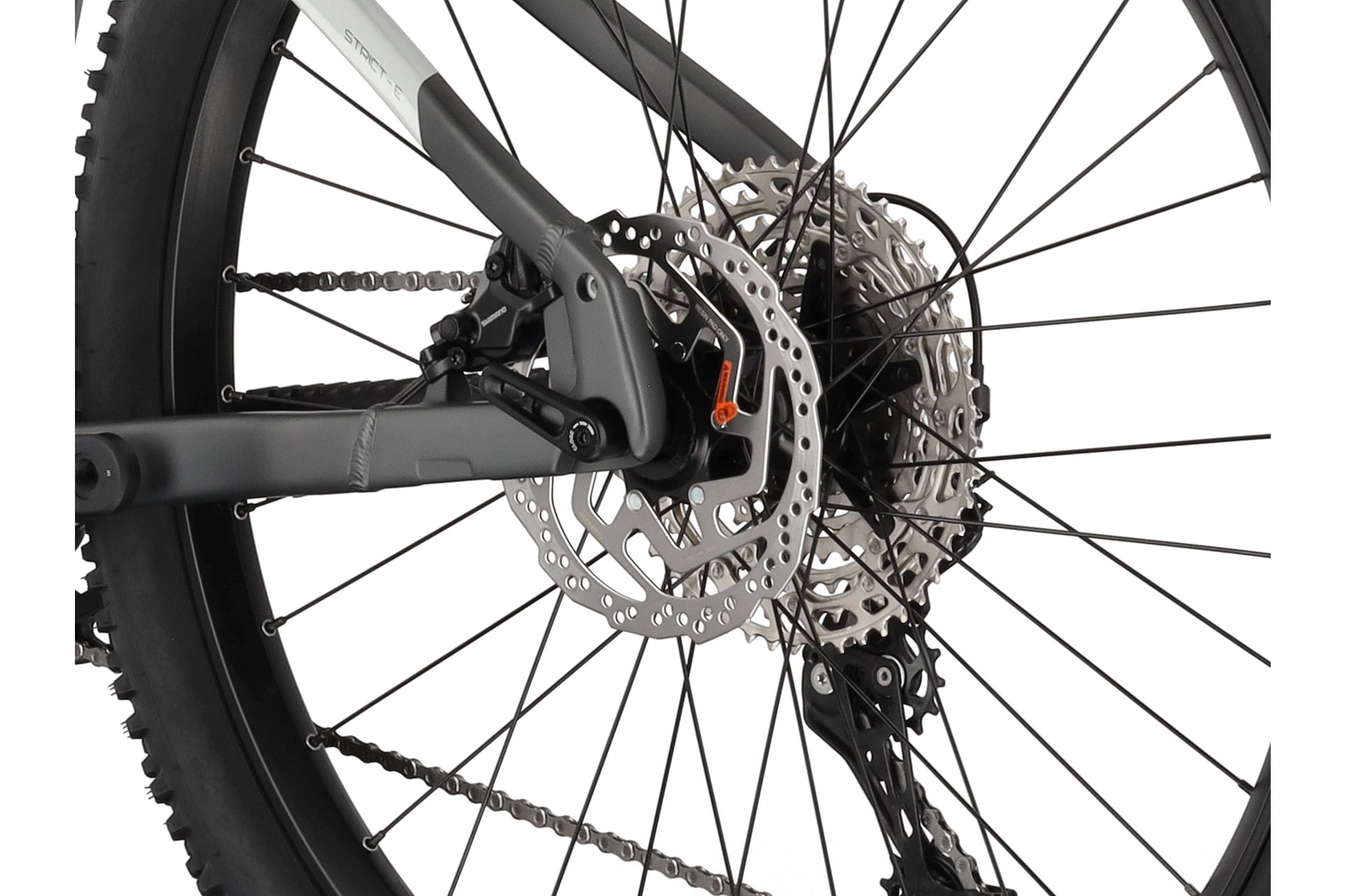 Carver Strict E.540 - B-Ware - 625 Wh - 29 Zoll - Diamant