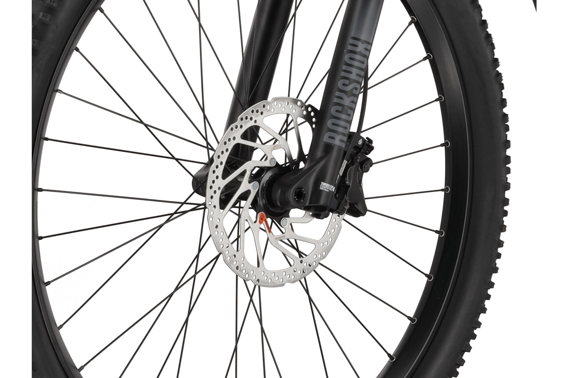 Carver Strict E.540 - B-Ware - 625 Wh - 29 Zoll - Diamant