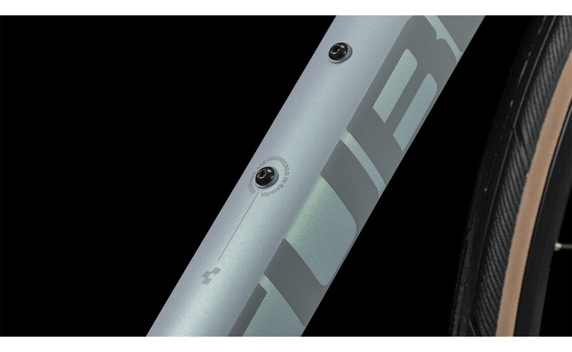 Cube Axial WS Pro - 28 Zoll - Diamant - 2024