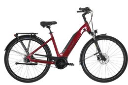 Carver Cityzen E.430 FL - 500 Wh - 28 Zoll - Tiefeinsteiger