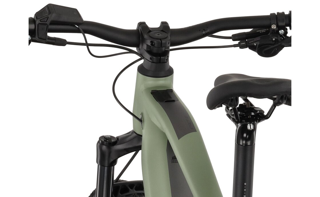 Carver Strict E.540 - B-Ware - 625 Wh - 29 Zoll - Diamant