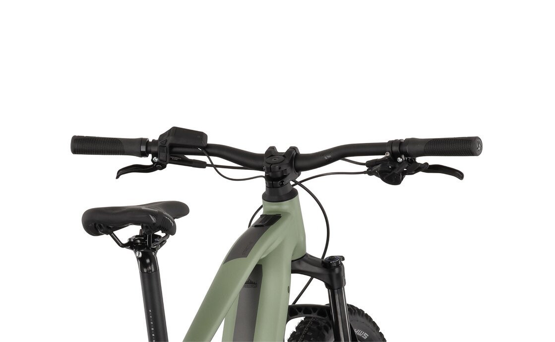 Carver Strict E.540 - B-Ware - 625 Wh - 29 Zoll - Diamant