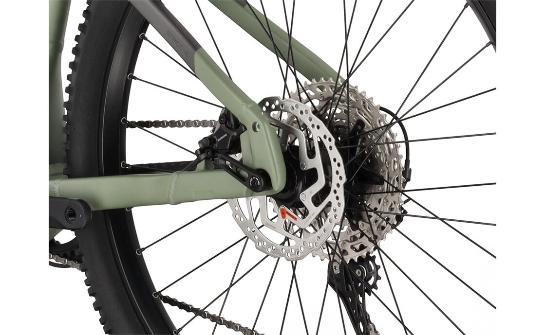 Carver Strict E.540 - B-Ware - 625 Wh - 29 Zoll - Diamant