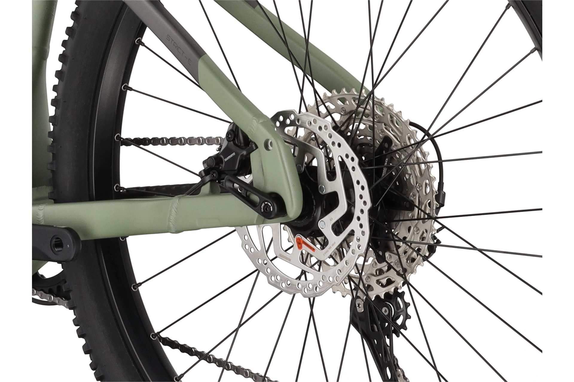 Carver Strict E.540 - B-Ware - 625 Wh - 29 Zoll - Diamant