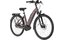 Carver Cityzen E.420 RT - 500 Wh - 28 Zoll - Tiefeinsteiger - 2025