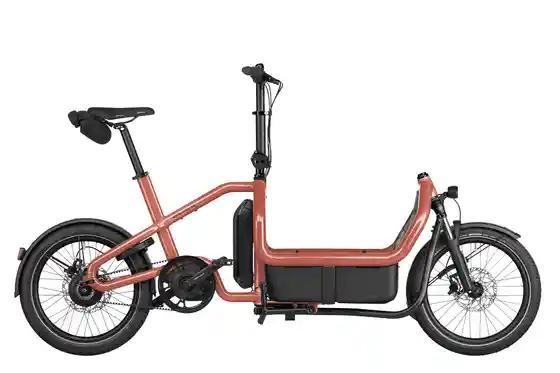 E-Bike-Pedelec - Riese und Müller Carrie2 vario - 725 Wh - 20 Zoll - 2026
